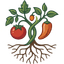Rootstock