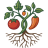 Rootstock